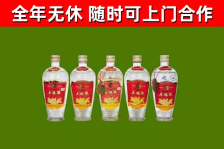 河口烟酒回收公斤五粮液.jpg